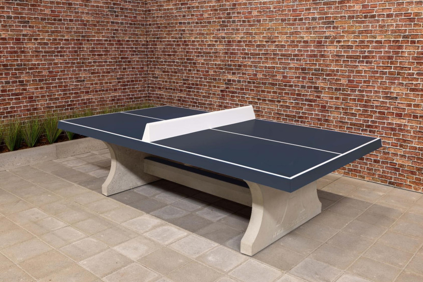 Table de ping-pong anthracite